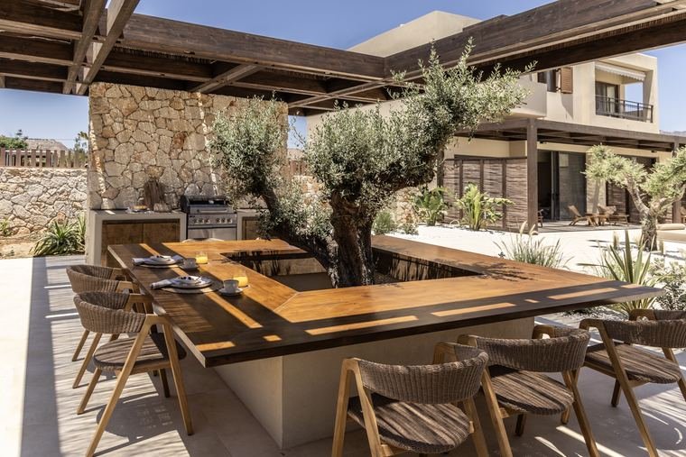 The dining table built around the olive tree
